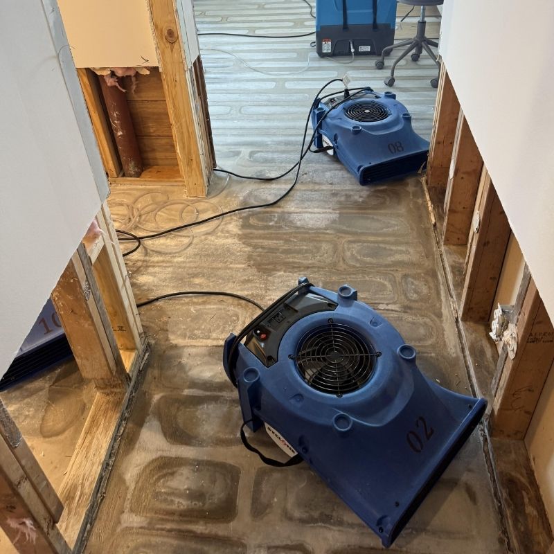 Air Movers Drying Basement Wall Studs