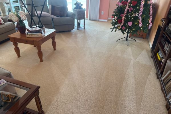 How Carpet Cleaning Helps Improve Indoor Air Quality Image