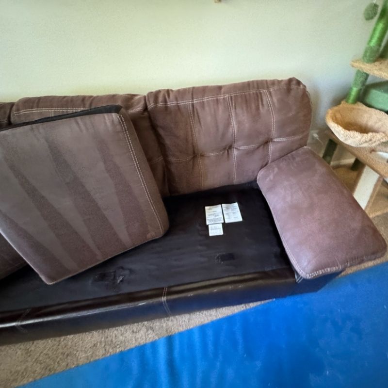 Post Cleaning Image