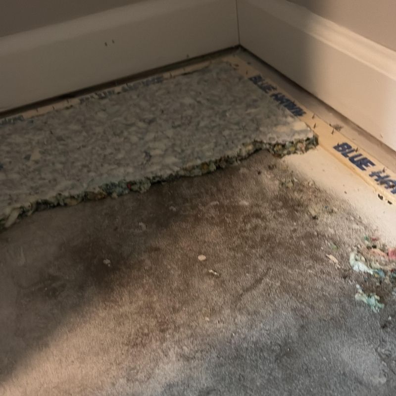 Water Damage Mitigation Project Documentation