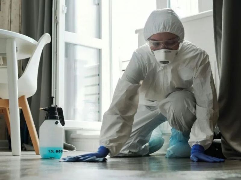 What Is The Average Cost Of Biohazard Cleanup In Rillito Az