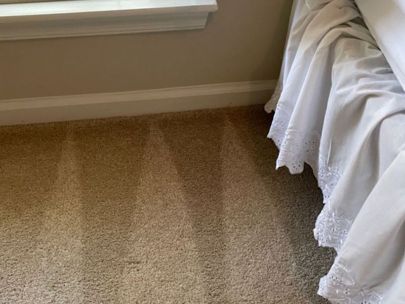 What Is The Average Cost Of Carpet Cleaning In Avon Ct
