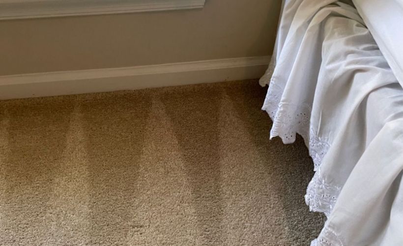 What Is The Average Cost Of Carpet Cleaning In Bend Or