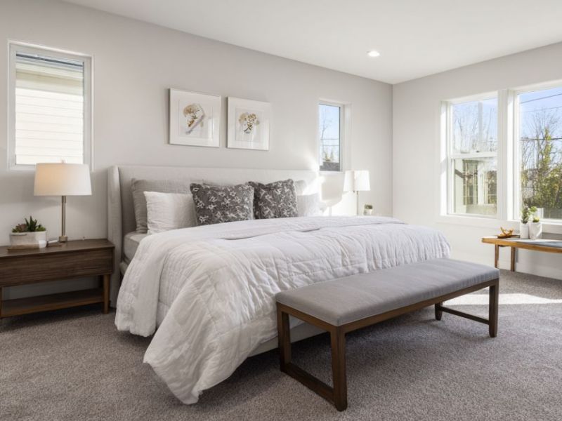 What Is The Average Cost Of Carpet Cleaning In Golden Co