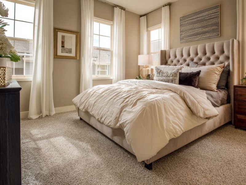 What Is The Average Cost Of Carpet Cleaning In Leawood Ks