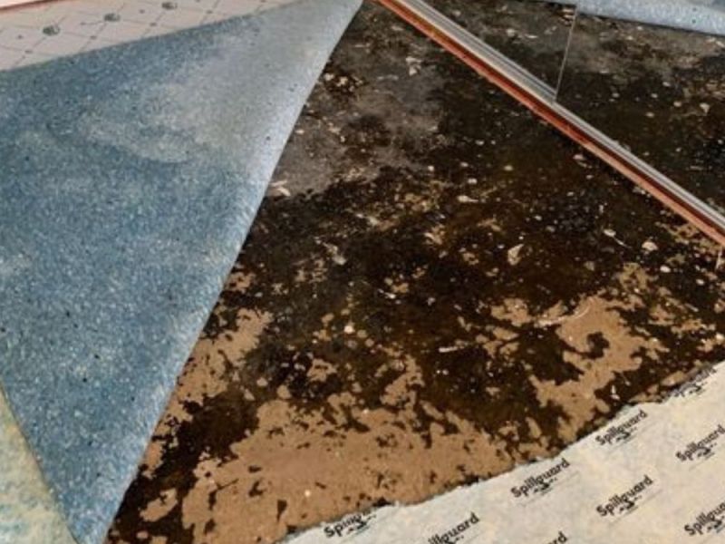 What Is The Average Cost Of Mold Damage Restoration In Pineville Nc