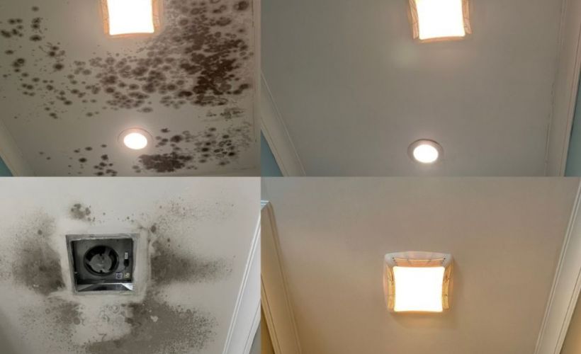 What Is The Average Cost Of Mold Remediation In Carmel In