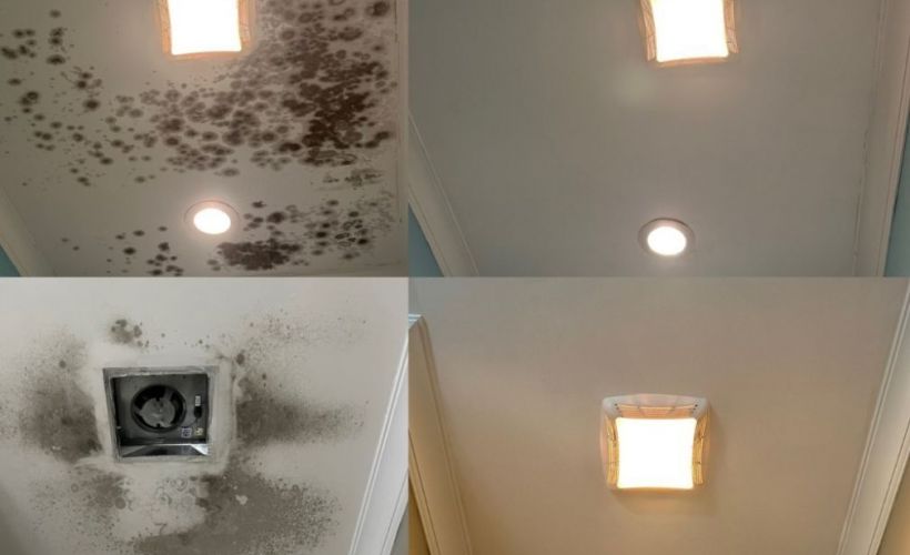 What Is The Average Cost Of Mold Remediation In Decatur Ga