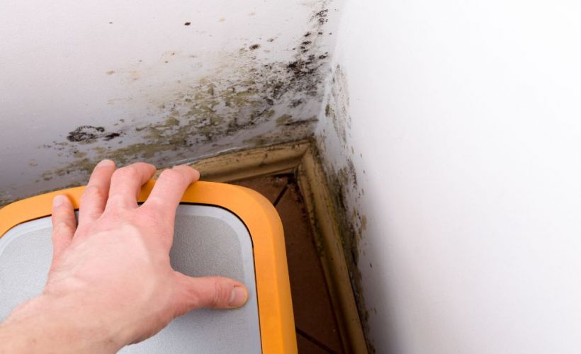 What Is The Average Cost Of Mold Remediation In Dublin