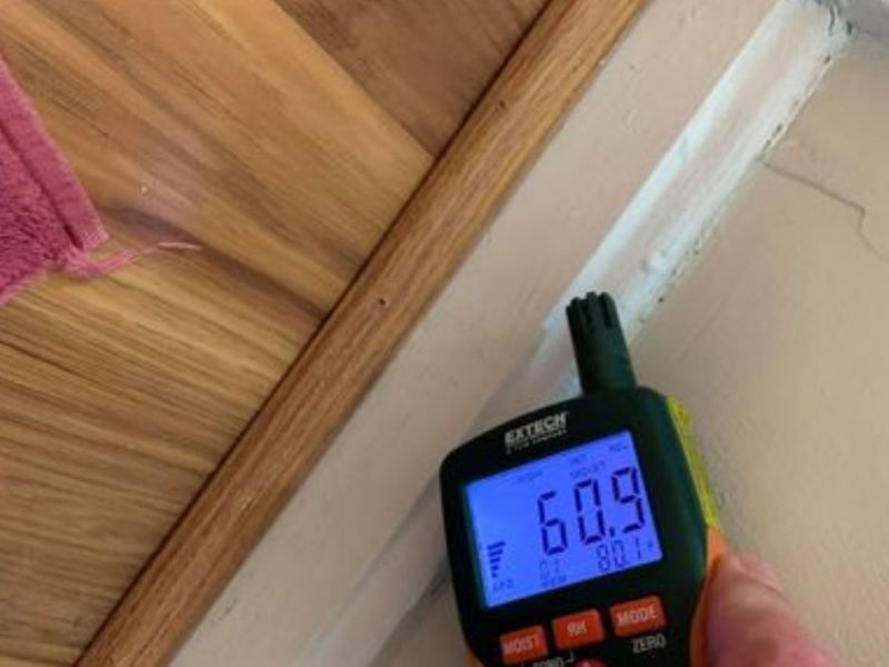 What Is The Average Cost Of Mold Remediation In Novi Mi