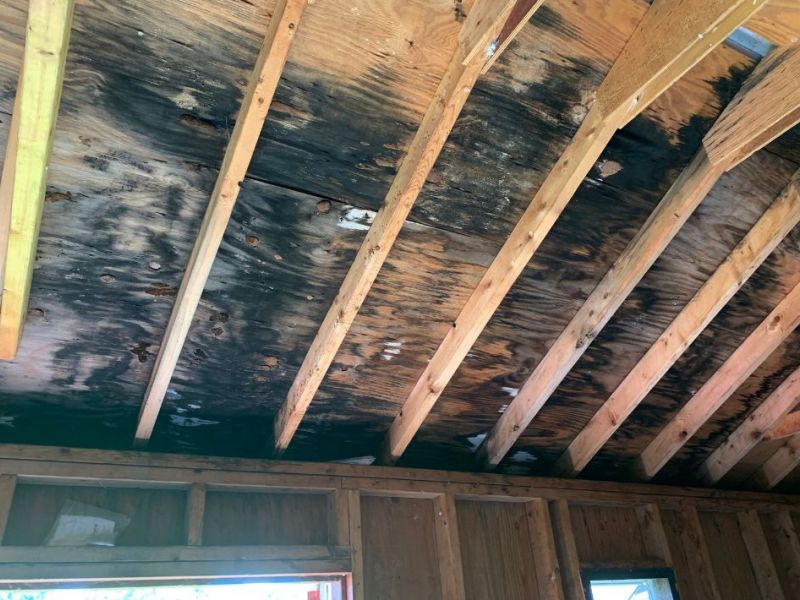 What Is The Average Cost Of Mold Remediation In Pickens S