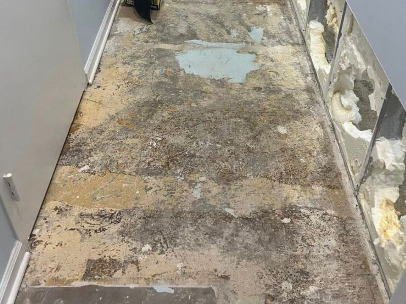 What Is The Average Cost Of Mold Removal In Holly Ridge