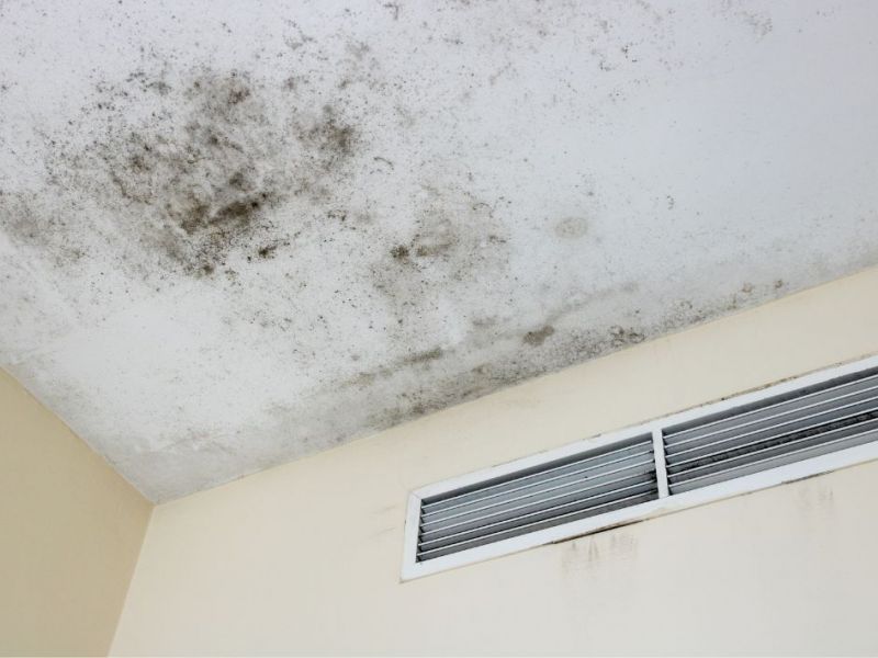 What Is The Average Cost Of Mold Restoration In Downington