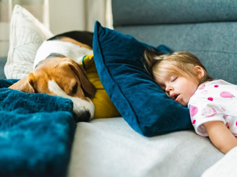 What Is The Average Cost Of Odor Removal In Cooper City Fl