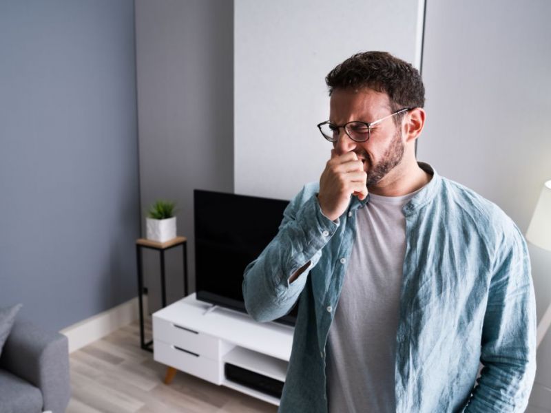 What Is The Average Cost Of Odor Removal In Deerfield Beach Fl