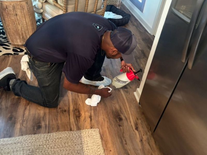 What Is The Average Cost Of Odor Removal In Pickens Sc