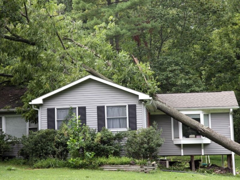 What Is The Average Cost Of Storm Damage Remediation In Oakton
