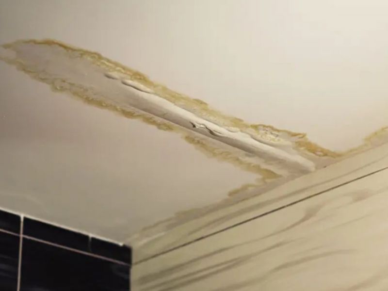 What Is The Average Cost Of Storm Damage Restoration In Ballwin Mo