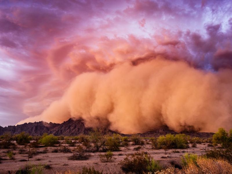 What Is The Average Cost Of Storm Damage Restoration In Casas Adobes