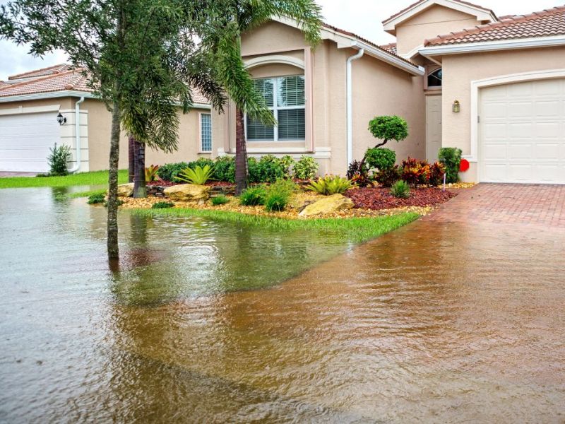 What Is The Average Cost Of Storm Damage Restoration In Dunedin Fl