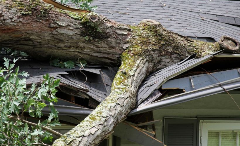 What Is The Average Cost Of Storm Damage Restoration In Grand Rapids Mi
