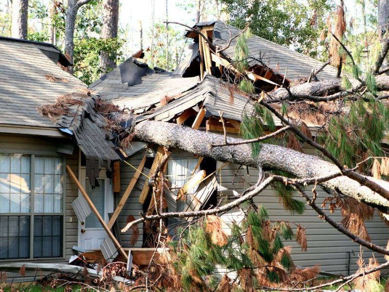 What Is The Average Cost Of Storm Damage Restoration In Marietta Sc