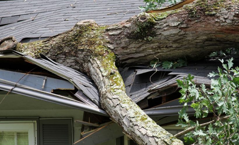 What Is The Average Cost Of Storm Damage Restoration In Reidville Sc