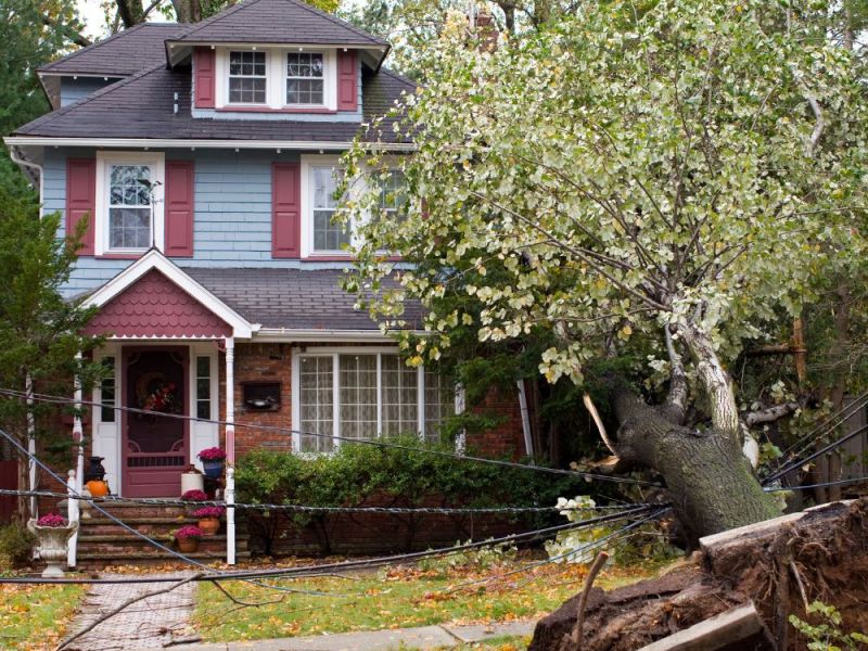 What Is The Average Cost Of Storm Damage Restoration In Wildwood Nc