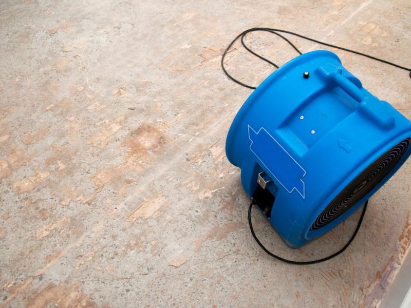 What Is The Average Cost Of Water Damage Restoration In Aiken Sc