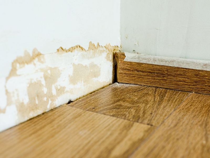 What Is The Average Cost Of Water Damage Restoration In Cumming Ga
