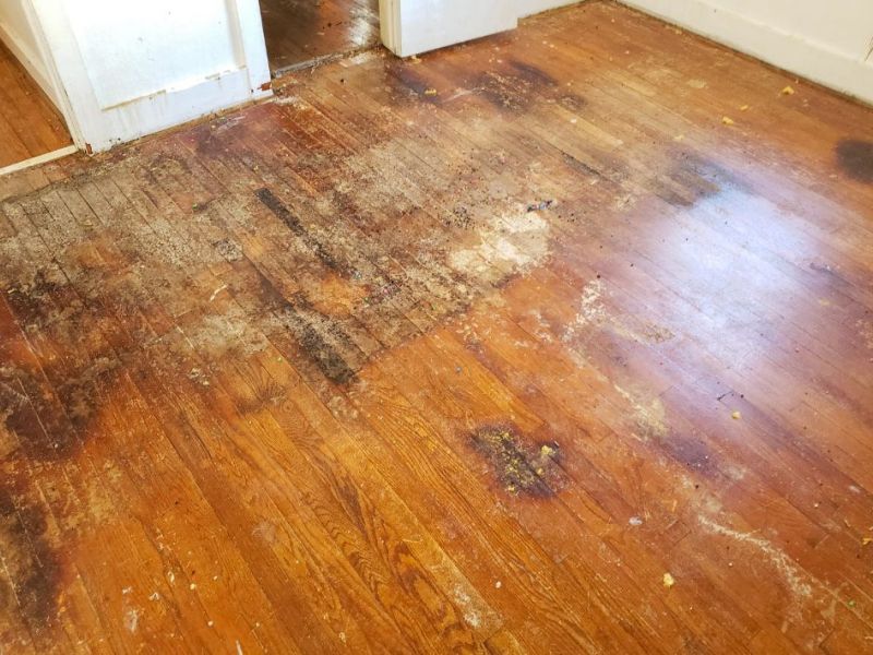 What Is The Average Cost Of Water Damage Restoration In Lawrence Ks