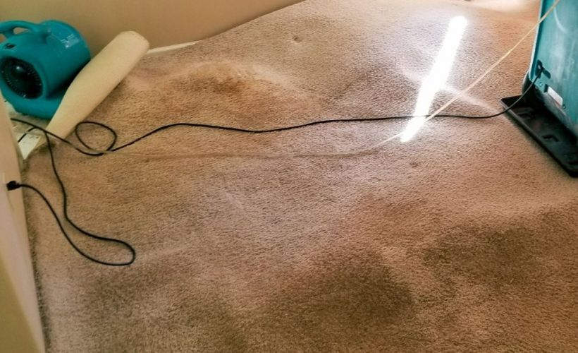What Is The Average Cost Of Water Damage Restoration In Longmont