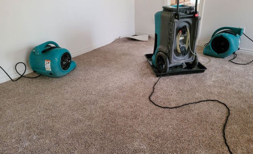 What Is The Average Cost Of Water Damage Restoration In New Albany