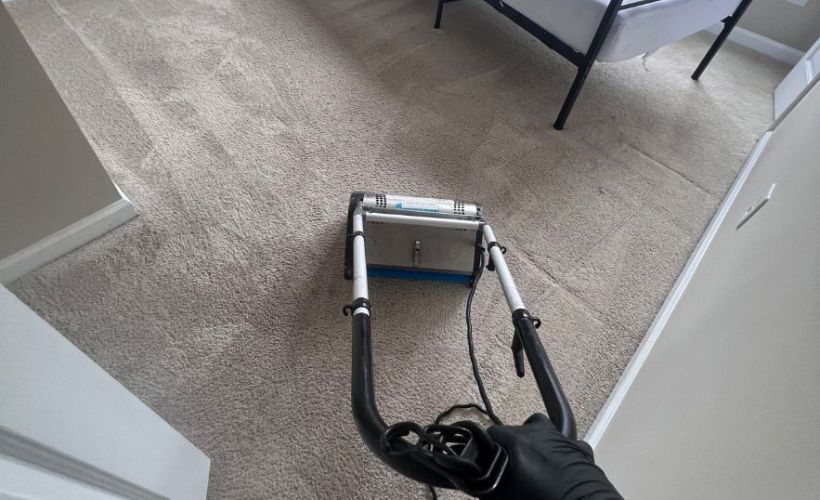 Whats The Average Cost Of Carpet Cleaning In Vero Beach Fl