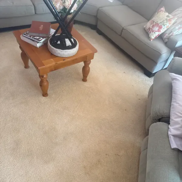 Carpet Before Cleaning In Venice