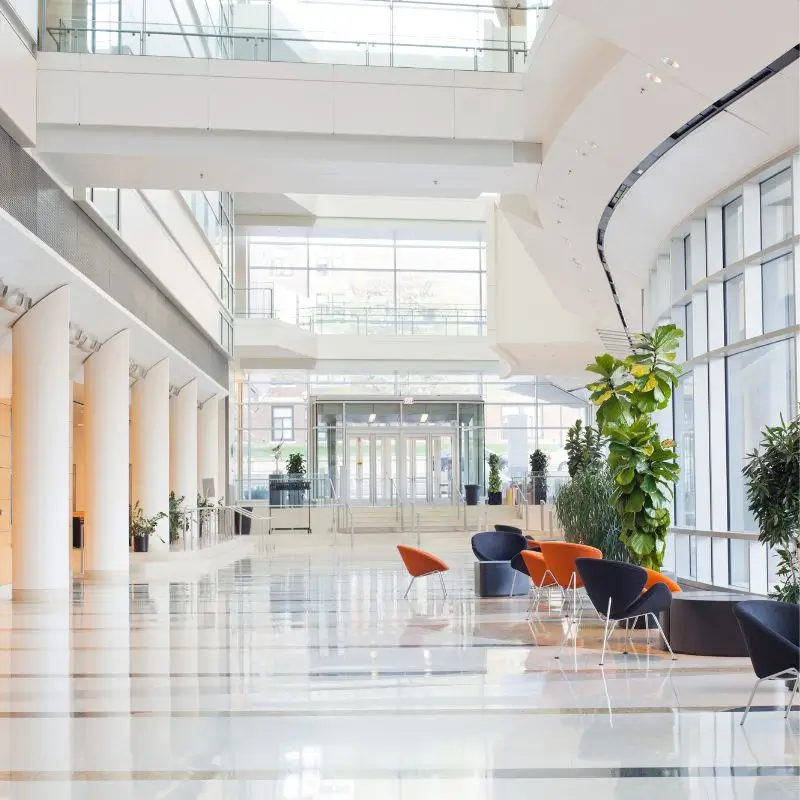 Commercial Tile Grout Cleaning For Businesses