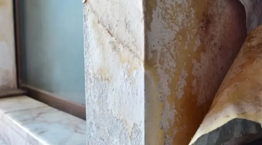 Early Signs Of Mold Growth Every Homeowner Should Watch For
