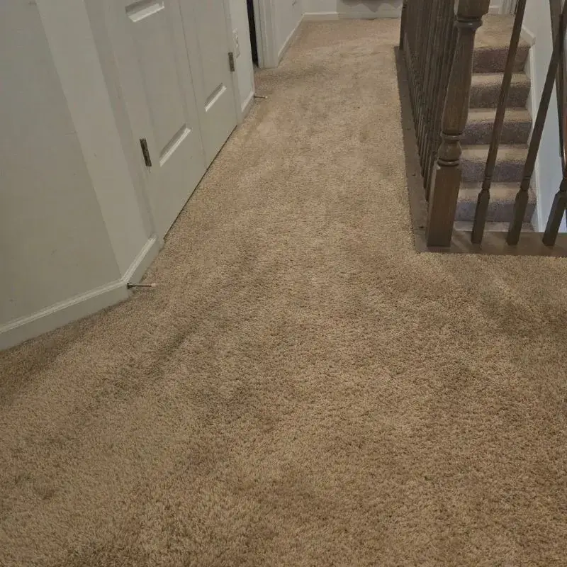 Hallway Carpet Cleaning In Charles Town