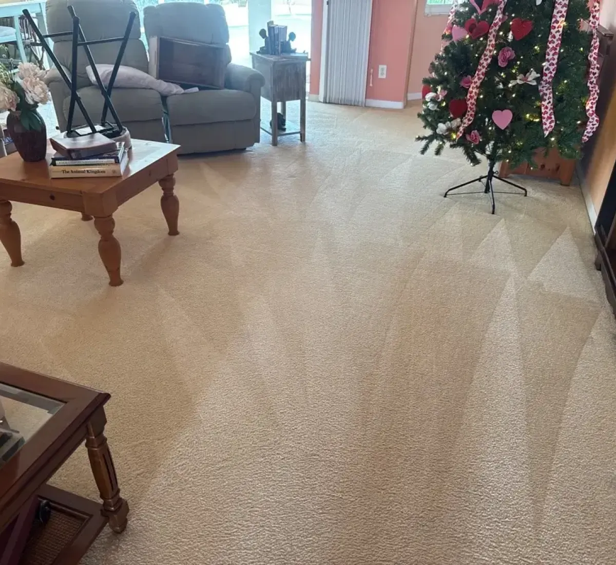 Living Roof Carpet After Cleaning Results