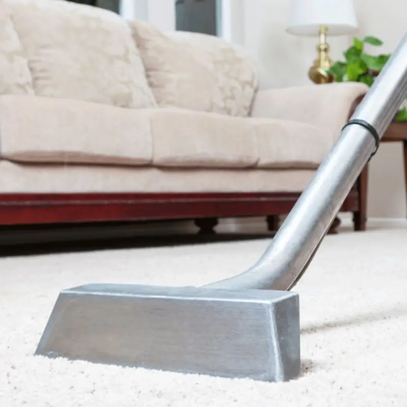 Professional Carpet Cleaning Service