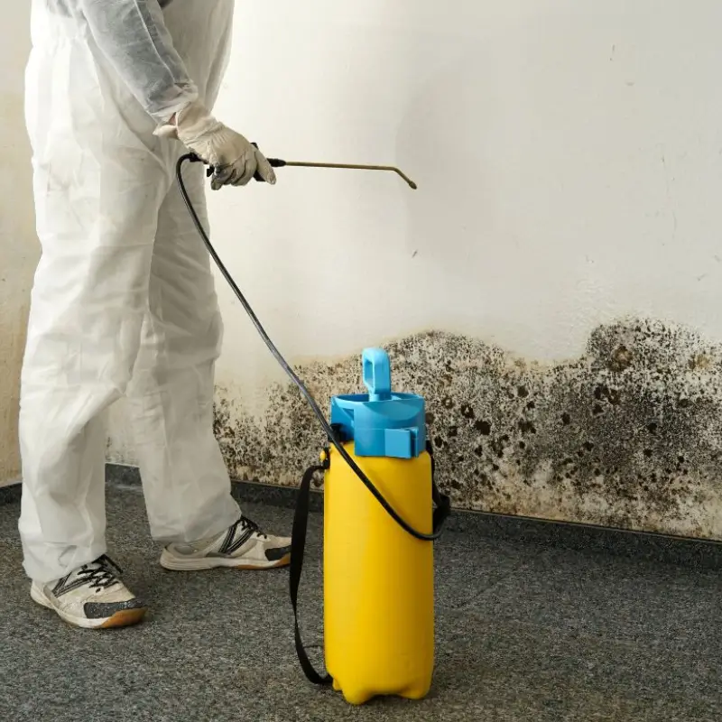 Professional Commercial Mold Remediation Service