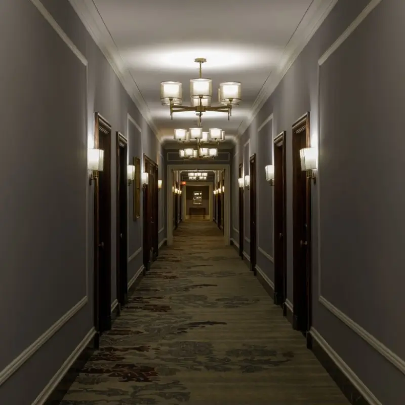 Professional Commercial Odor Removal Service