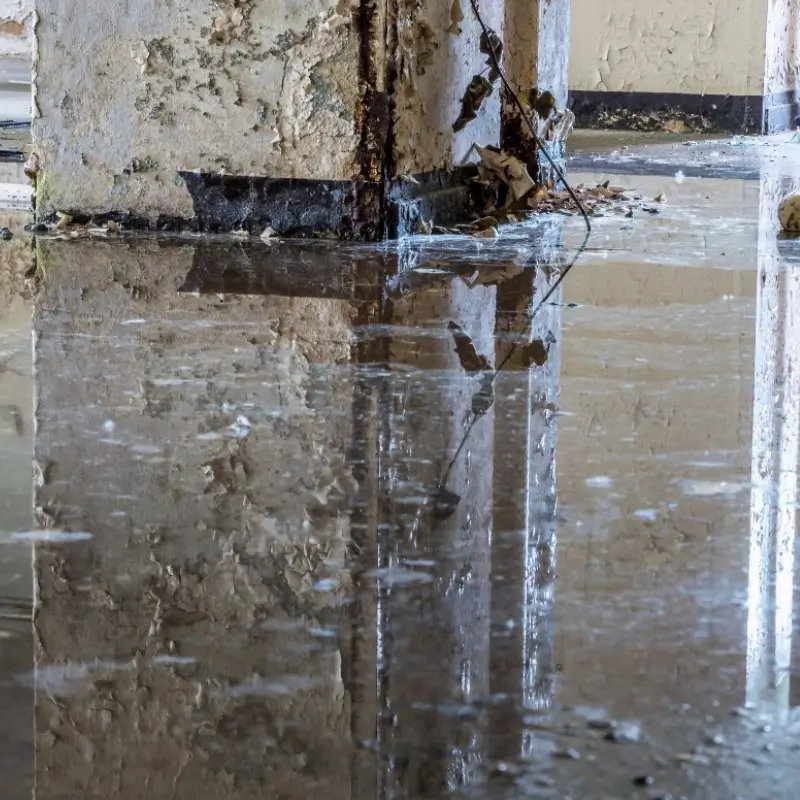 Professional Commercial Water Damage Restoration Service