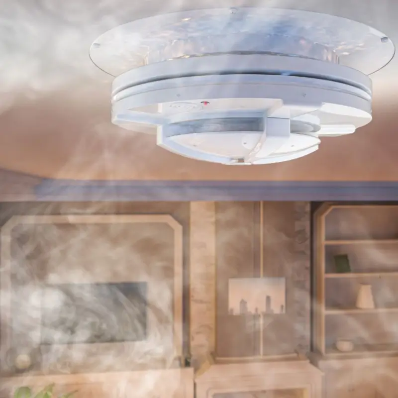 Professional Fire Smoke Damage Restoration Service