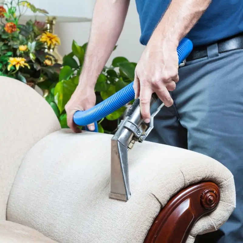 Professional Upholstery Cleaning Service