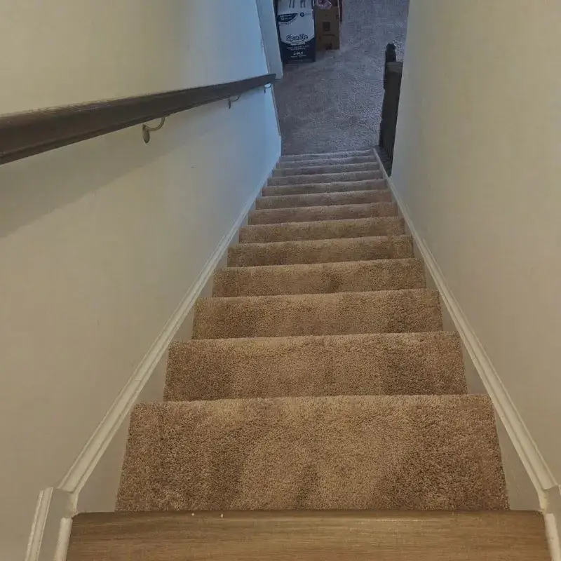 Scarpet Cleaning Stairs In Charles Town Wv