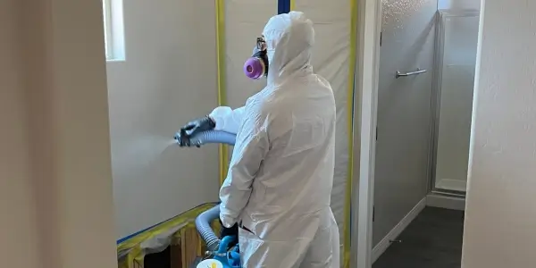 Voda Mold Remediation Services