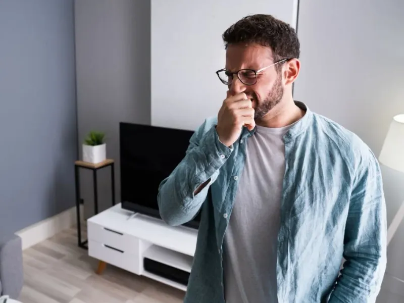 What Is The Average Cost Of Odor Removal In Denver Nc