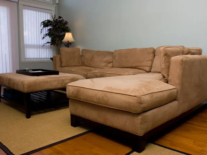 What Is The Average Cost Of Upholstery Cleaning In Dayton Nj